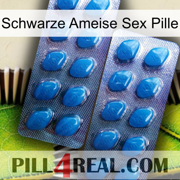 Black Ant Sex Pill viagra2.jpg